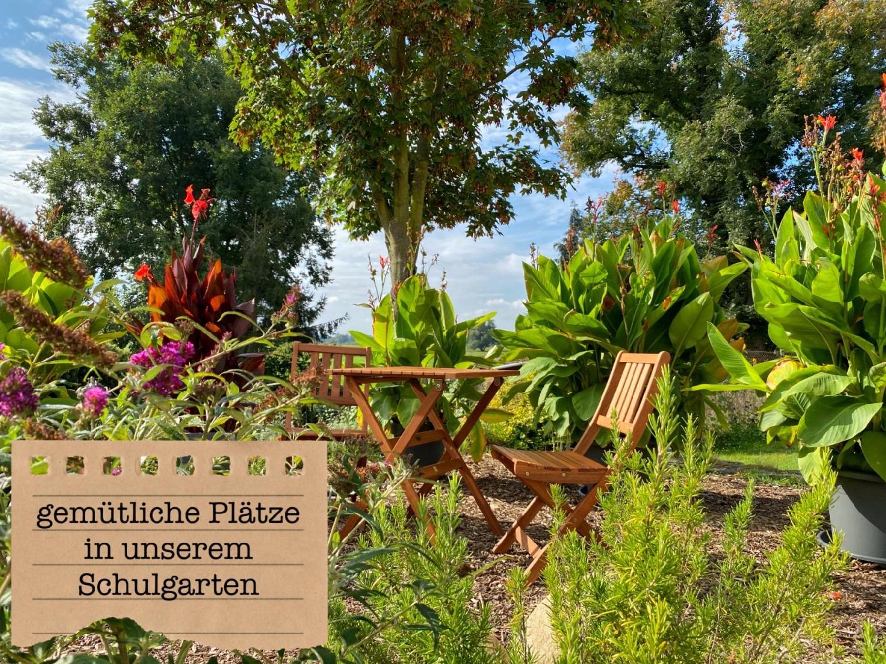 Alte Schule Wittenberg, 3 Ferienwohnungen Fuer Bis Zu 12 Personen, An Der Elbe, Mit Garten Exterior foto
